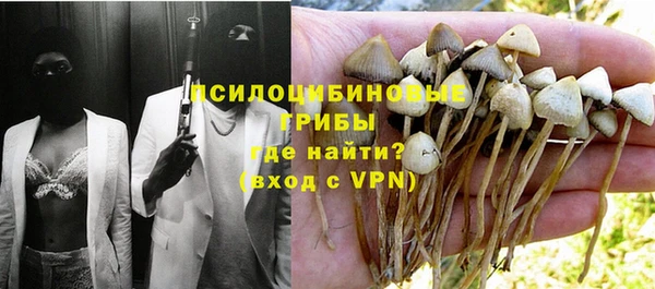 бутират Арсеньев